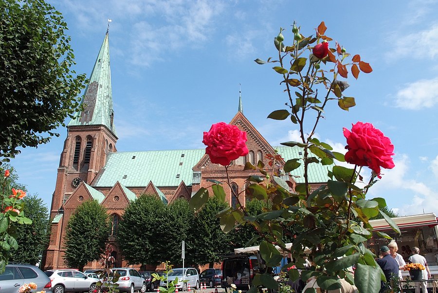 Blick auf den Meldorfer Dom mit blauem Himmel. Im Vordergrund steht eine rote Rose