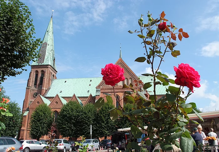 Blick auf den Meldorfer Dom mit blauem Himmel. Im Vordergrund steht eine rote Rose