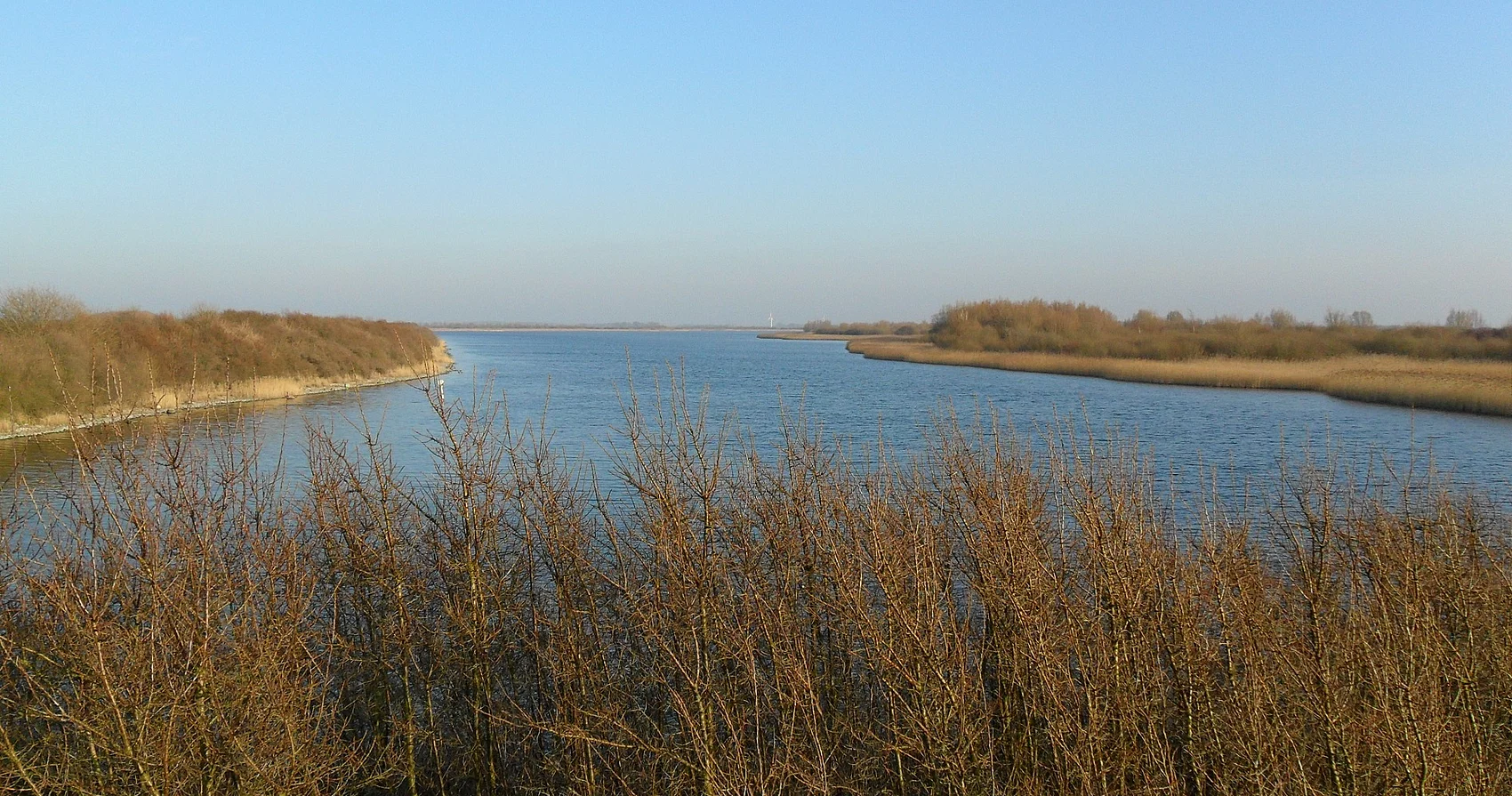 Blick von der Aussichtsplattform über das Kronenloch im Speicherkoog. Ein blauer See, der umwachsen ist von Pflanzen der Region bei strahlend blauem Himmel