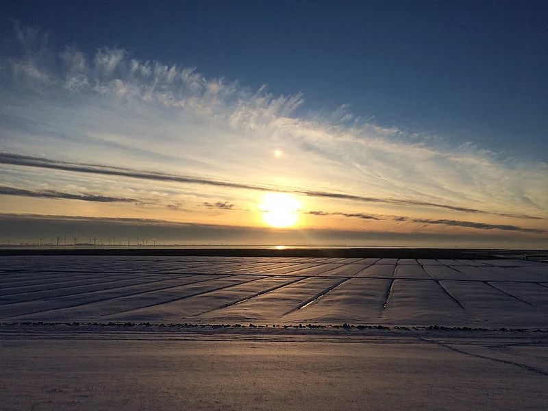 Sonnenuntergang über dem Wattenmeer