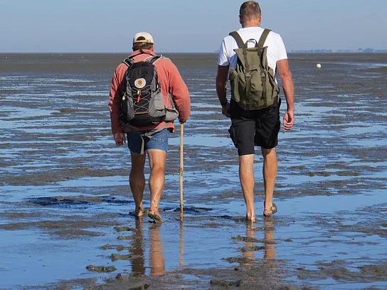 Zwei Menschen laufen barfüßig durch das Watt