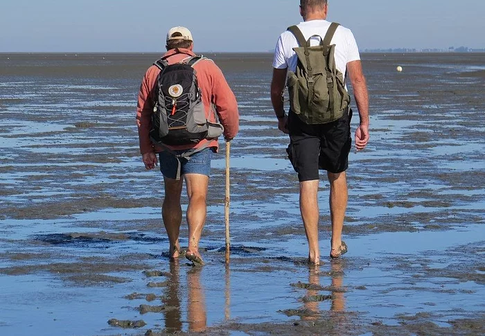 Zwei Menschen laufen barfüßig durch das Watt