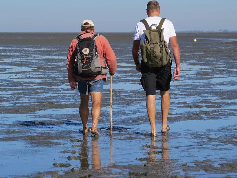 Zwei Menschen laufen barfüßig durch das Watt
