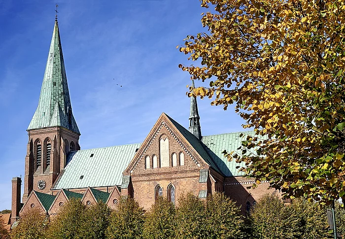 Dom im Herbst Dom mit blauem Himmel und Bäumen mit Herbstlaub im Vordergrund
