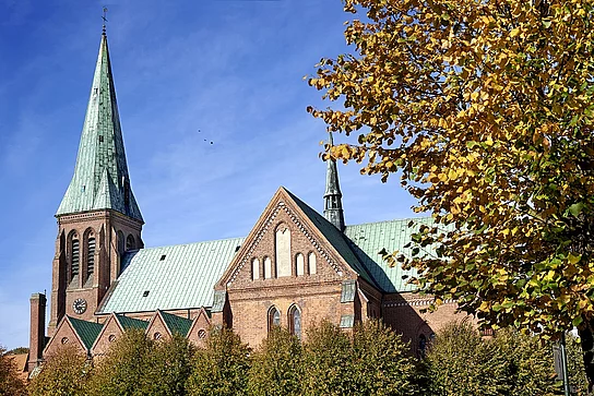 Dom mit blauem Himmel und Bäumen mit Herbstlaub im Vordergrund