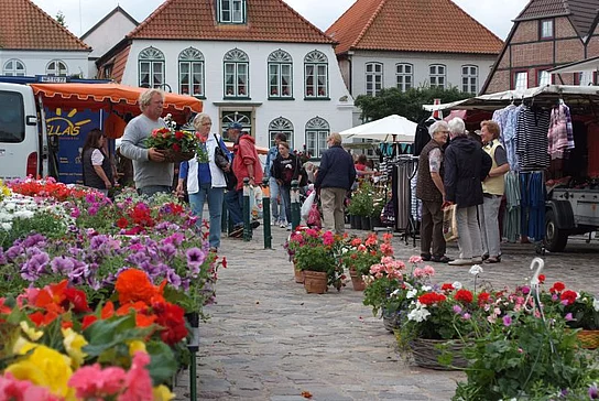 Meldorfer Wochenmarkt